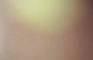 XXX Casting de Anales 18 español latino xxx